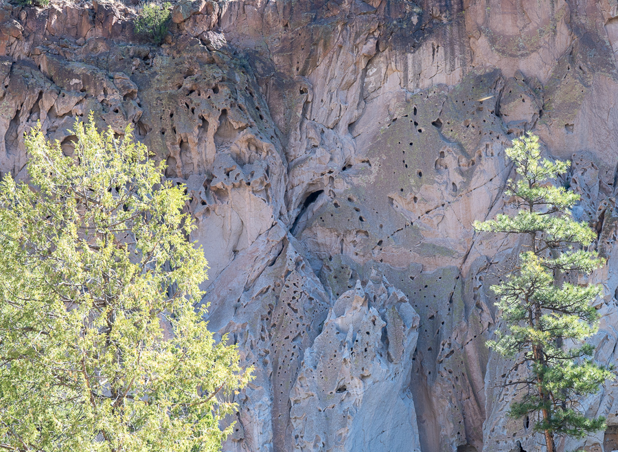 Much of Bandelier was covered with volcanic ash from Valles Caldera > 1M yr ago