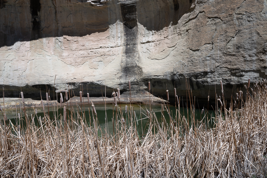 Natural water catchment