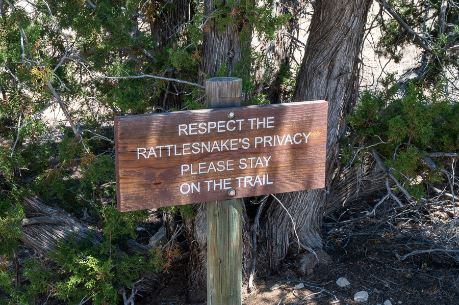 Park rangers with a sense of humor