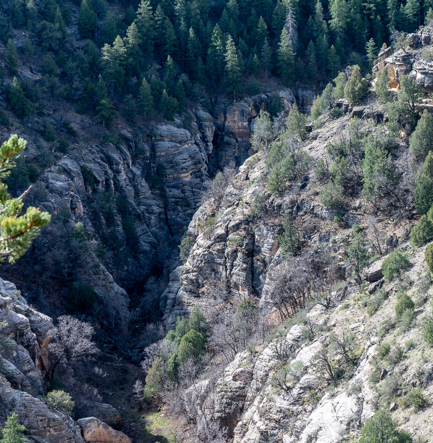 Walnut Canyon near Flagstaff
