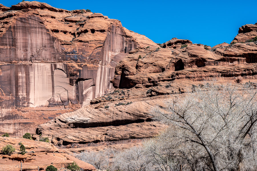 Canyon de Chelly from floor of canyon